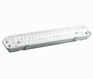 Светодиодный светильник IP65 компактный Ковчег-мини Серия SDPP-21810