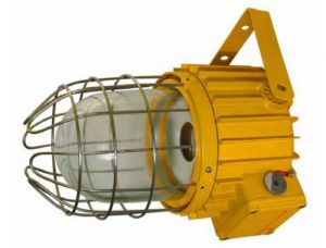 Светильник серии ВАД 71 для ламп накаливания с универсальной системой крепления, 2ExedIICT4