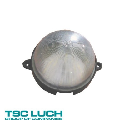 Светодиодный светильник для ЖКХ DSO6-2-econom CTM