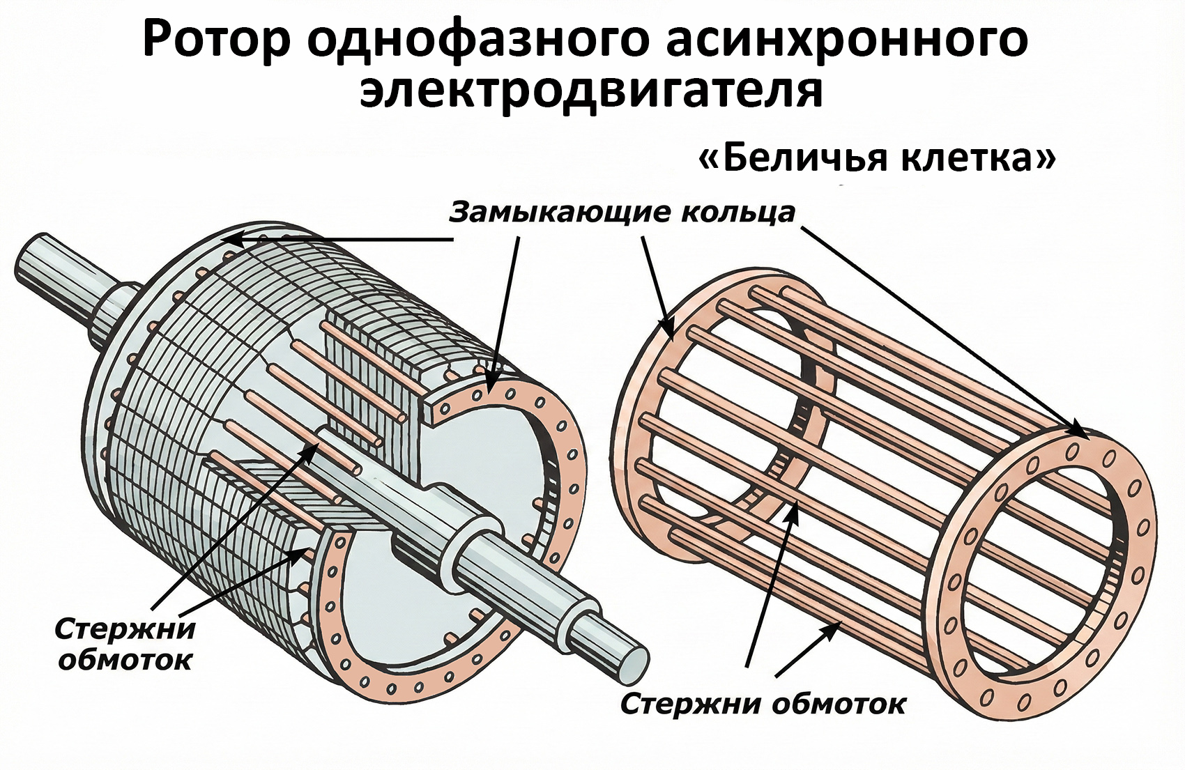 Ротор асинхронного двигателя типа беличья клетка