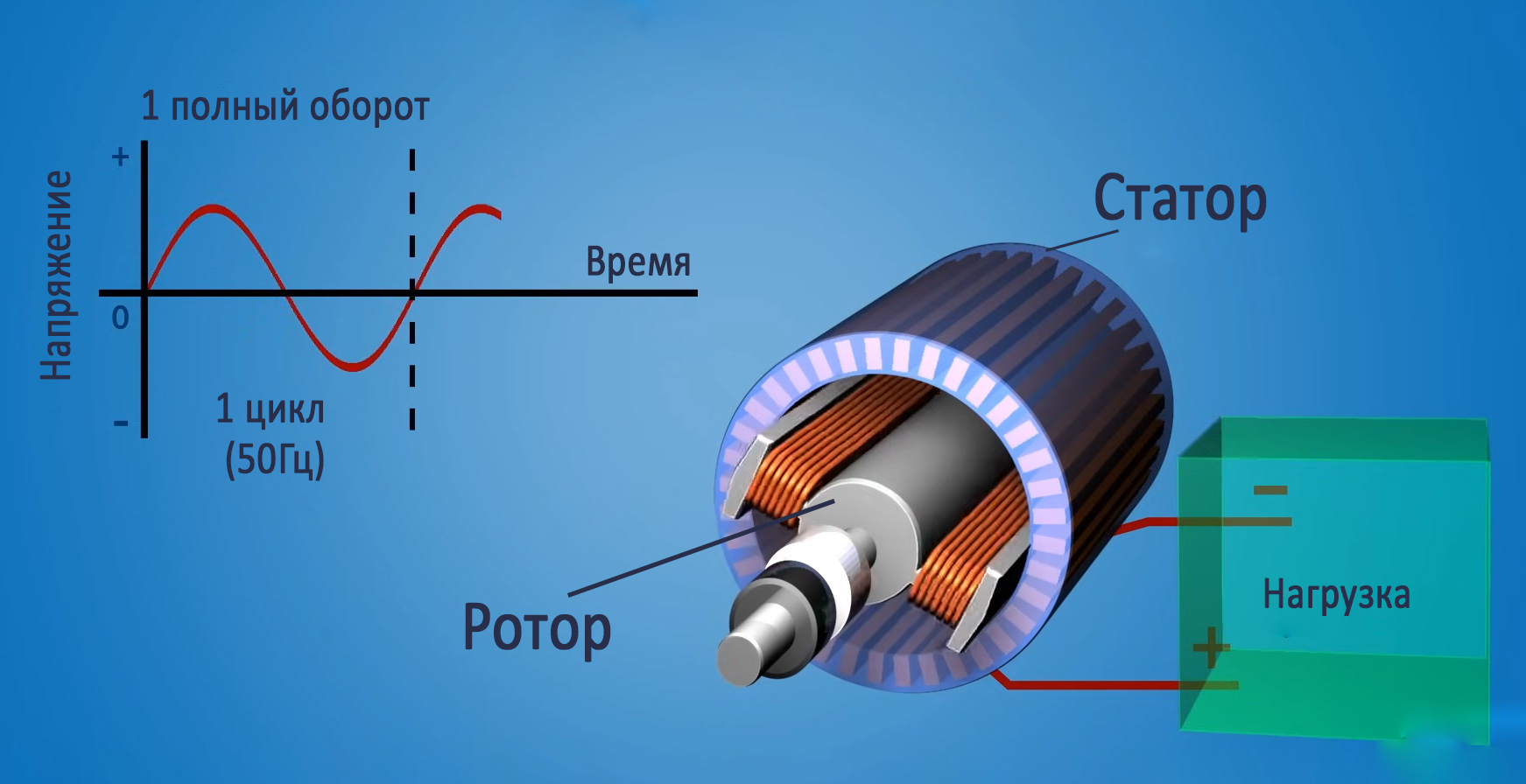 Взаимосвязь вращения ротора и генерации синусоиды 50 Гц. Конструкция статора и ротора. График генерации переменного напряжения