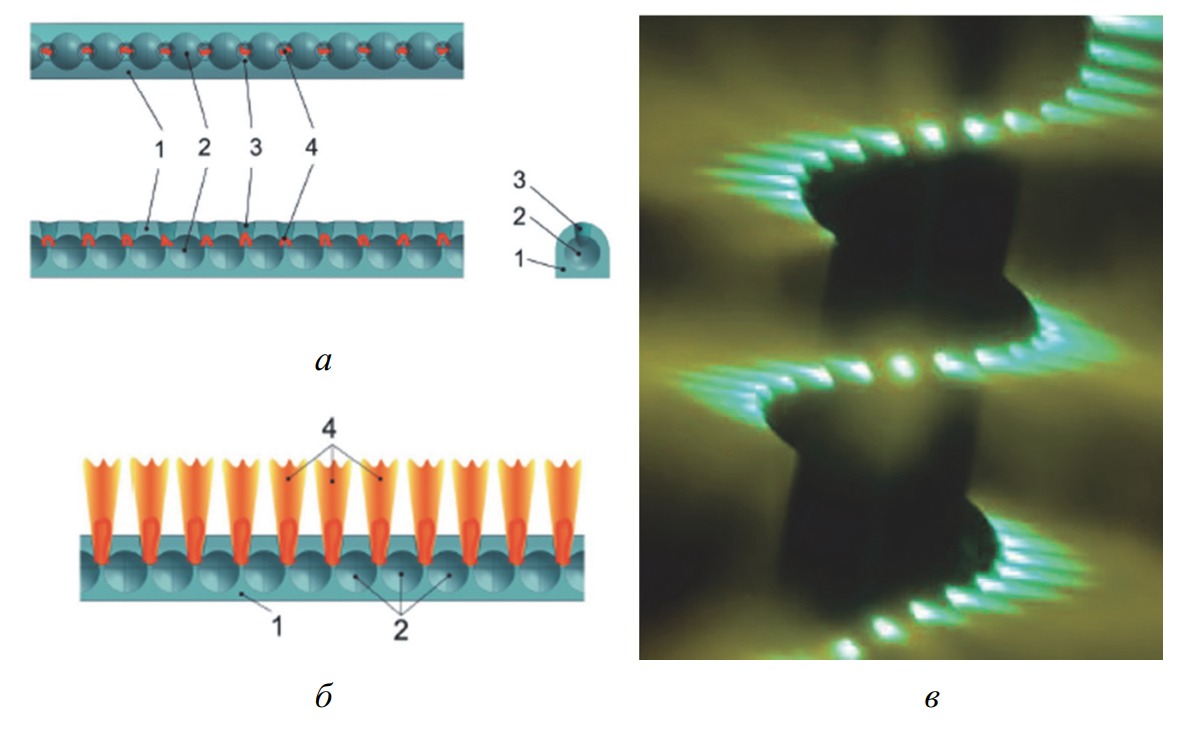 Мультикамерная система