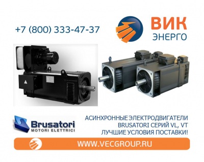 Асинхронные электродвигатели BRUSATORI серия VT