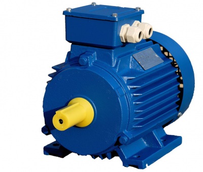 Электродвигатель 5АМХ112М2