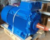 Электродвигатель Marelli Motori B5C 355 LA 6