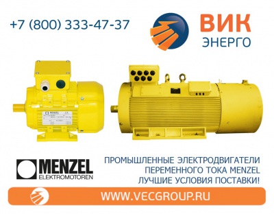 Menzel HQ MEBKGR Высоковольтные электродвигатели с короткозамкнутым ротором