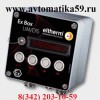 Электронный терморегулятор ex-box DIS