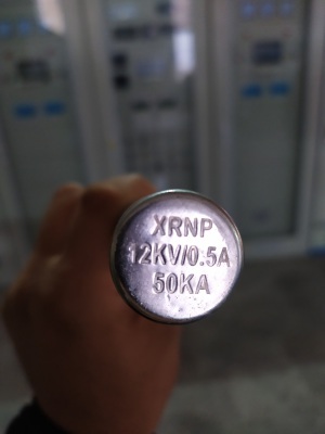 Предохранитель XRNP1-12KV/0,5A-50KA
