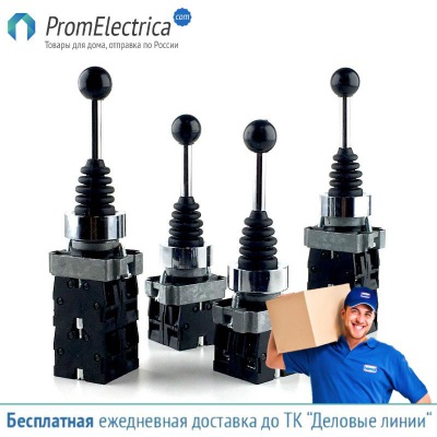 XD2-PA24 Джойстик 4 положения с фиксацией в наличии