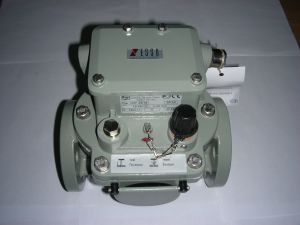 Реле газовые РГТ-80 РСТ-25