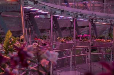 Флорариум парка Зарядье освещается светильниками ТМ «АтомСвет»