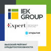 «Эксперт РА» присвоил IEK GROUP высокий уровень финансовой надежности