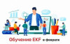 Обучение EKF в феврале