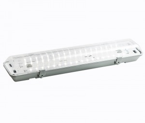 Светодиодный светильник IP65 компактный Ковчег-мини Серия SDPP-21810