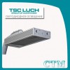 Уличный светодиодный светильник DSO19-2 CTM.