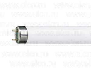 Лампа L 36/ 640 4000К Osram (25) Смоленск