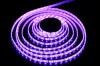 Светодиодная лента LEDcraft SMD 5050 15 Ватт на метр 60 диодов на метр IP 65 RGB Многоцветная