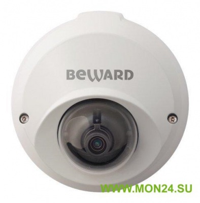 BD4640DM (6 мм) IP-камера купольная уличная антивандальная