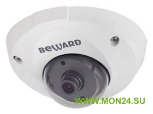 B1710DM IP-камера купольная
