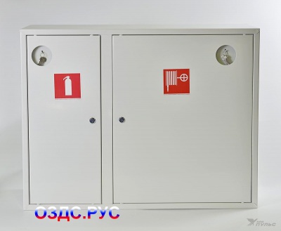 Пожарный шкаф ШПК 315 НЗБ