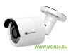 IP-P002.1(3.6)D IP-камера корпусная уличная